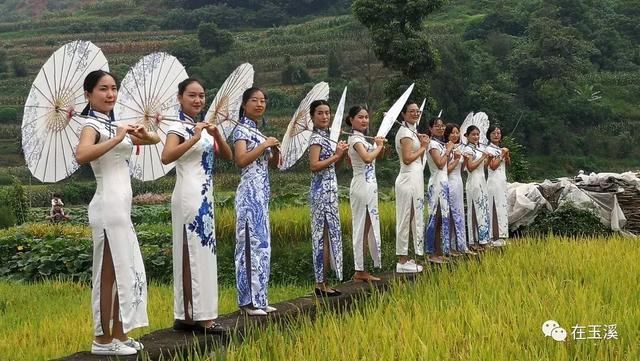 易门绿汁镇首届稻田开鱼节 带你找回儿时快乐！