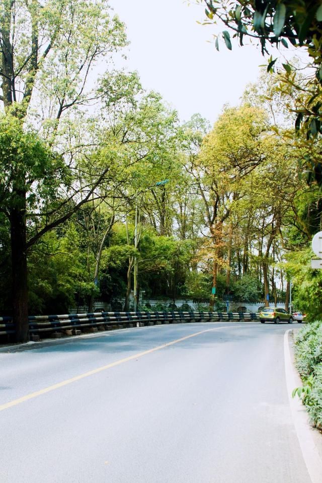 #满园#重庆赏花图鉴桃樱纷飞香满园,悠然春见南山景