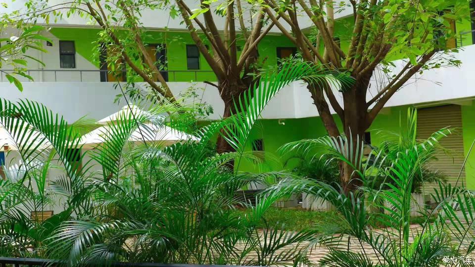 陪朋友深圳一日游