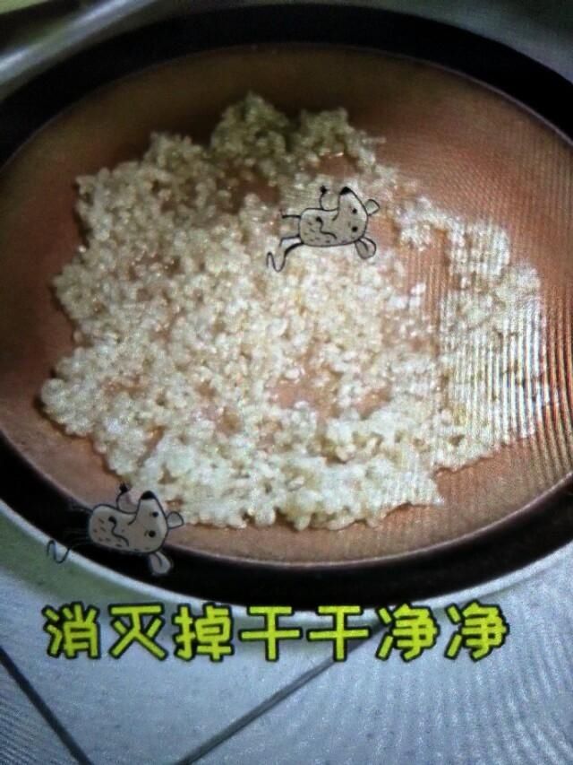  『家里』家里有老鼠别着怕，教你一招安全有效，让老鼠全部灭光光！