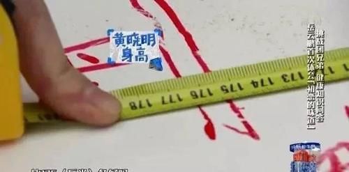  #董子#王俊凯是矮个子男星？他比黄晓明矮半个头，跟董子健一样