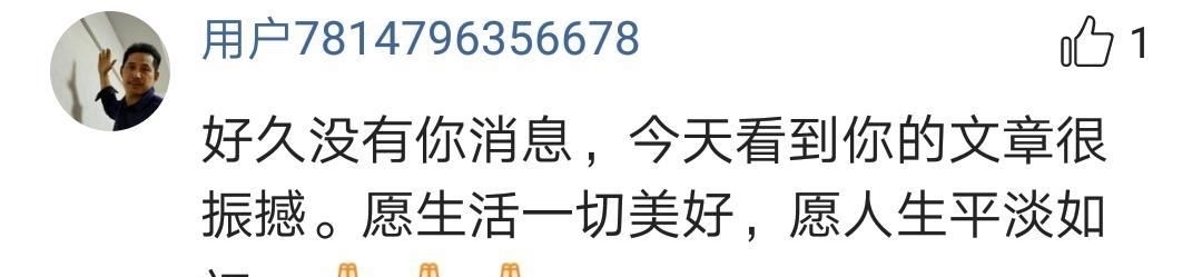  公交车|武僧一虎引用释永信名言推广少林寺，直言：我坐公交车一