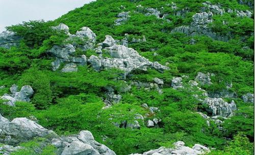 看尽鬼斧神工，有“世界最大的天然盆景”，秋季最好的观景之地哦