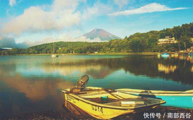 美丽的富士山下, 竟暗藏一片恐怖森林, 每年都有