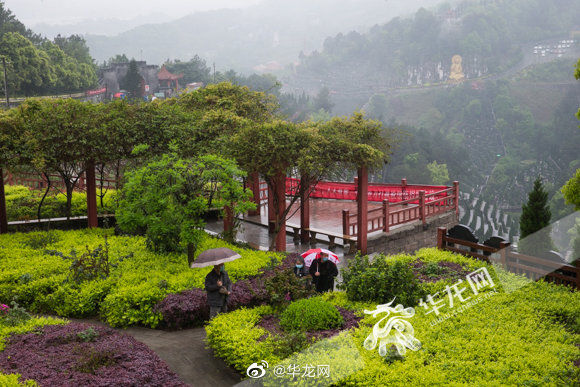  『持续』今明重庆大部阴雨持续 山城晨间雨雾缭绕