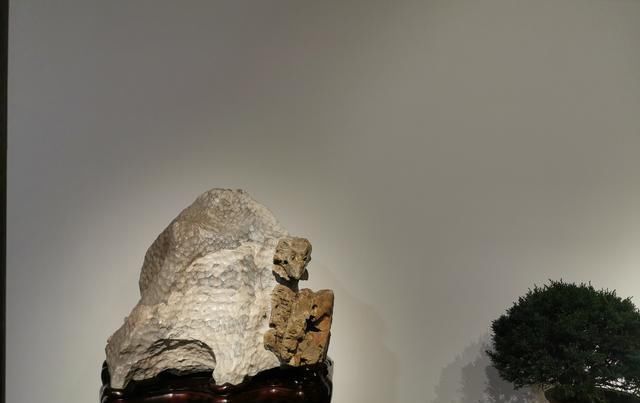 苏州太湖水石艺术馆开馆,最美太湖水石在这里