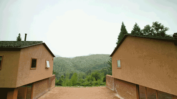 他在浙江大山里租6间房，花1500万装修，被村民嫌：太普通