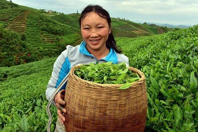 2019年下半年的农业补贴全了，农民好好看看，哪一项最适合你！