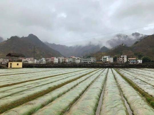  影像|战“疫”中的杭州，你没见过的影像