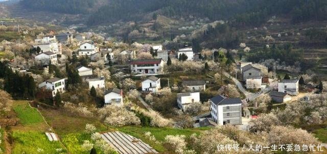 农村出现“四大怪”，专家不解，老农一席话道出了其中的原因