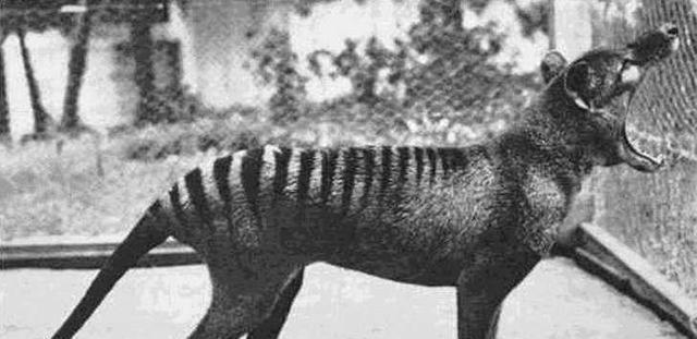 12张你没见过的老照片:见证历史的力量