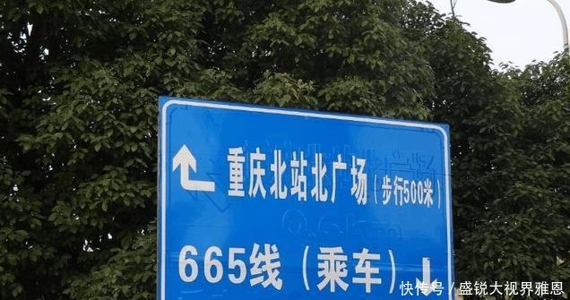 中国最短的公交线路, 全程仅500米, 游客表示太坑没必要存在