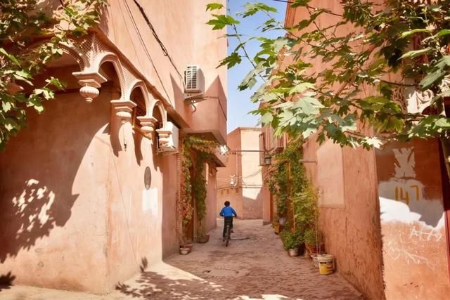 去了北疆才知道，中国有多大；去了南疆才知道，中国有多美