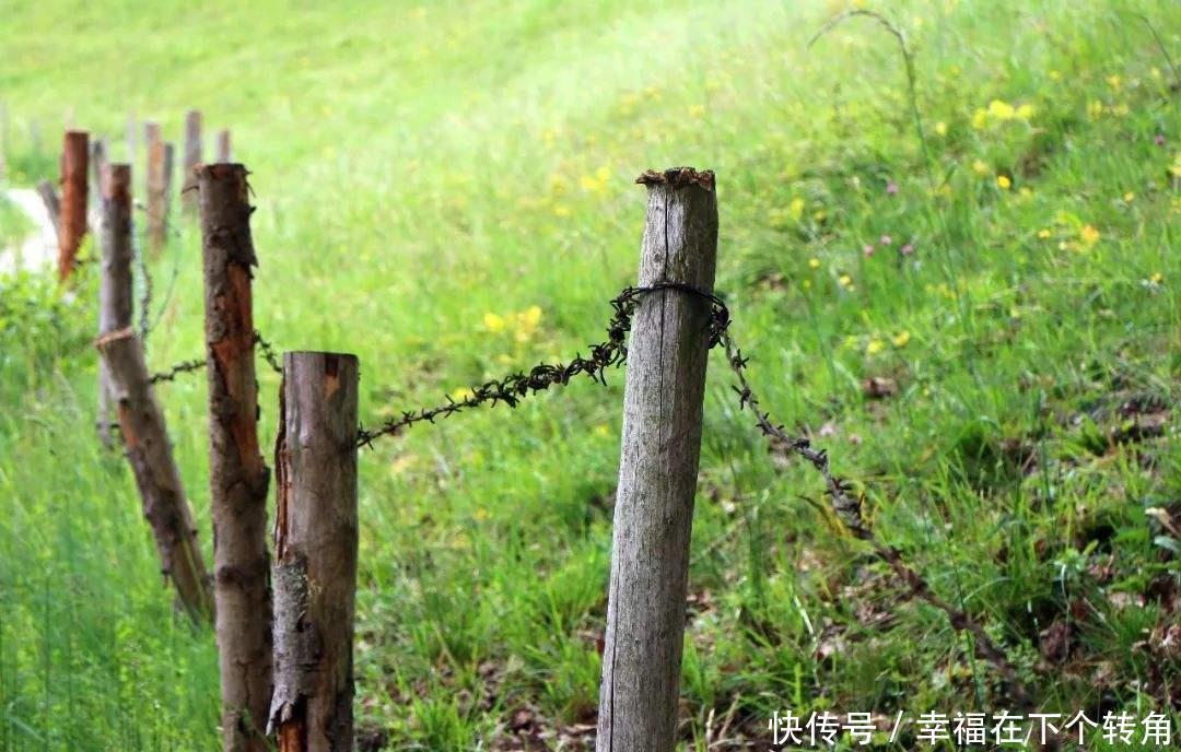  「快乐」篱笆小院住在乡村的快乐，你想体验吗！