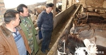 今年是“暖冬”还是“冷冬”，气象专家给出答案，农民要早做防备