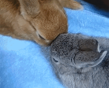 错误的洗脸方法，在一点点毁掉你的脸