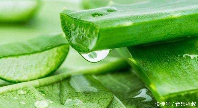  『用芦荟胶进』芦荟胶五大实用功能大公开，平价且多用，难怪是宝藏型护肤品！