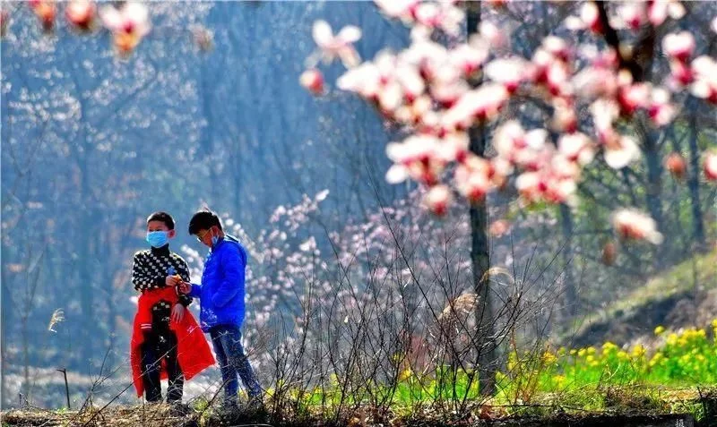 3月,低调六安意外爆红!一组照片,全国人民都被美哭了!【2020热门旅游景点】
