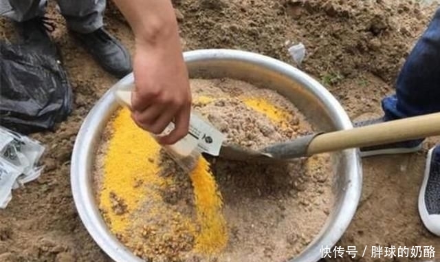 「大鲤鱼」一提库钓就来劲,“征服”鲤鱼就用这诱鱼绝技,现在不用太亏了