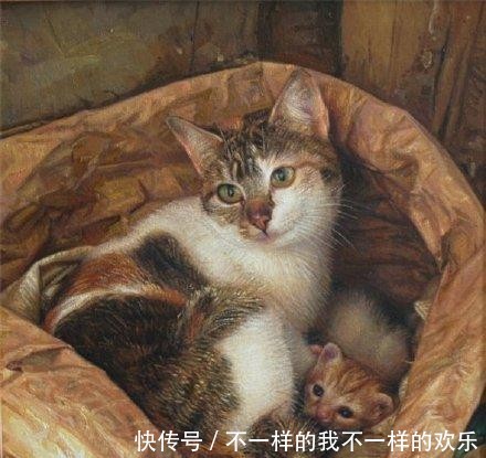 你站在窗外看风景,看风景的猫在窗外看你