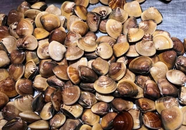 7天长假将结束！小编带你逛国庆后的海鲜市场行情！