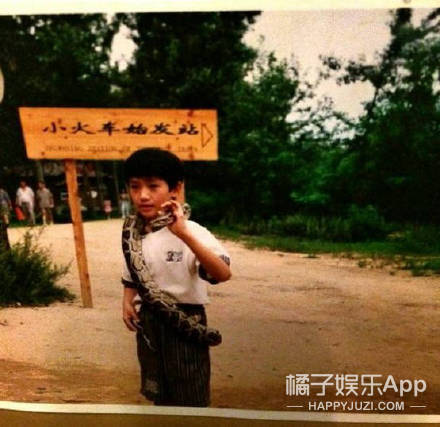 赵丽颖否认怀孕回应造谣 王思聪怒怼Saya