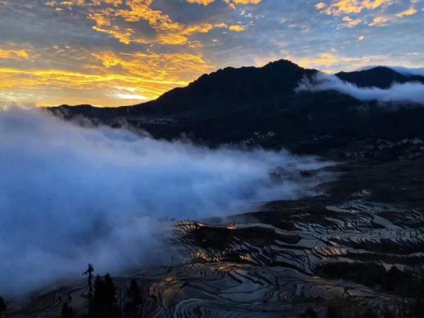 大促299元超值抢购元阳599自由行套餐