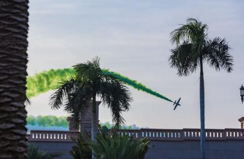 阿布扎比皇宫大酒店谁给认定的,你说八星级就是八星级?