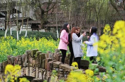 花开成海！再过一周重庆将美翻全国，14处美景玩转这个春天！