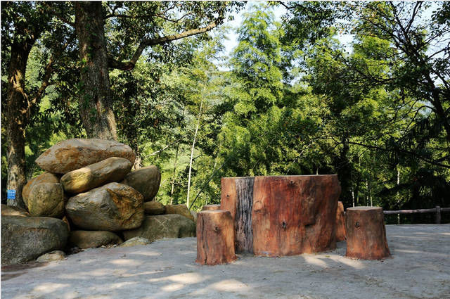  「利润」在农村，有人不出去打工，就靠收“废木头”养家，利润