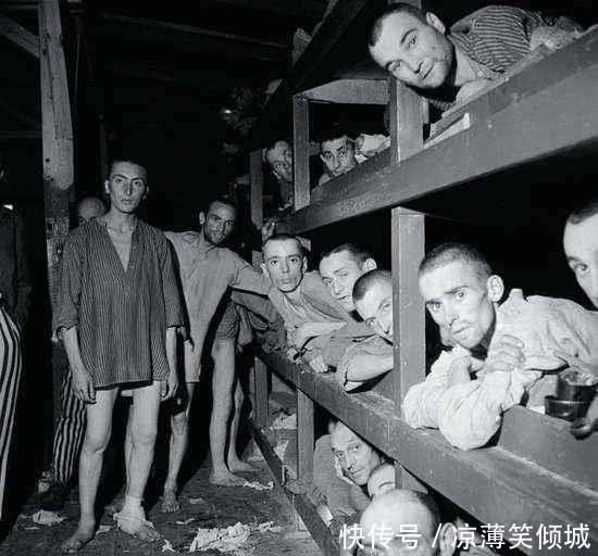  「乌斯塔沙」克罗地亚只是宁夏那么大，为什么要参加二战！