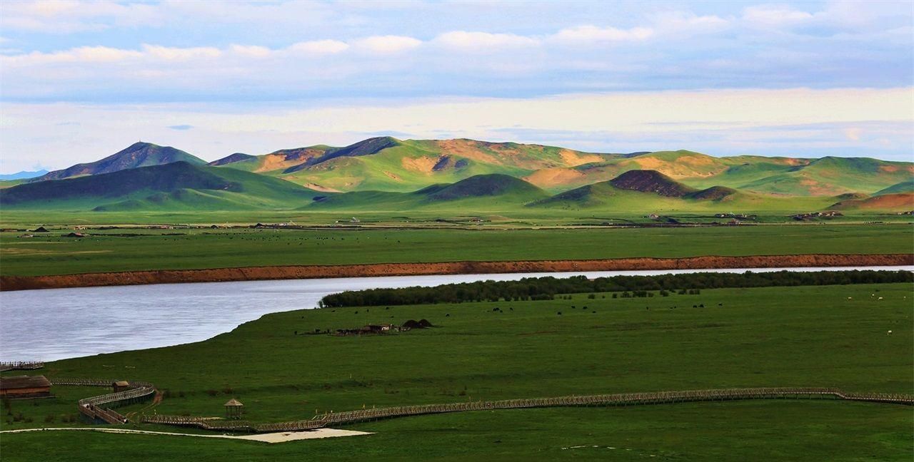 为什么大草原上只有草，而没有大树呢？看完才明白