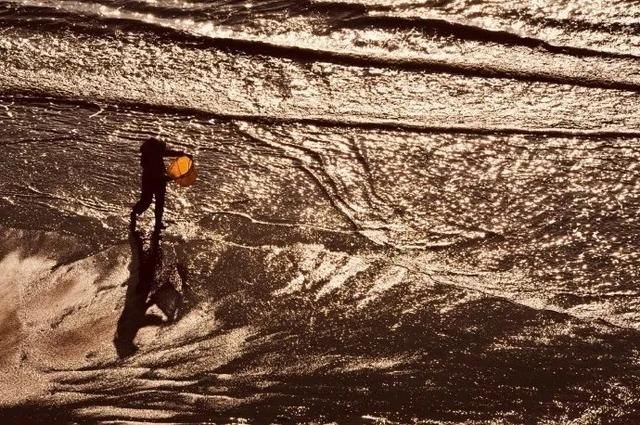 霞浦海域惊现中华白海豚，央视新闻联播都报导了