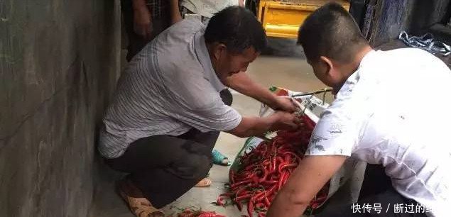 农村多地滞销，十万斤烂地里，5毛一斤贱卖，心酸明年不种了