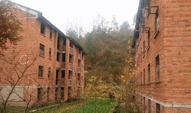 秦岭巴山之间这家兵工厂，建筑破败，一片废墟，成了牛羊的乐园