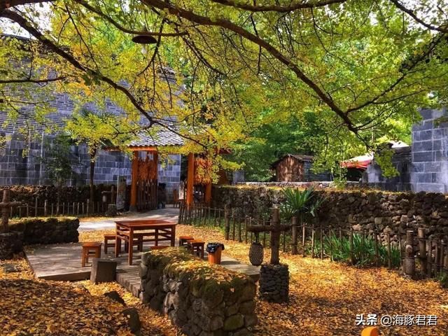 云南的秋天来了，这个小村又要开始搞“黄色”