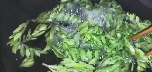 『辣椒』农村一种可以吃的多肉植物,长得像狗牙,焯水后拌糟辣椒真好吃!