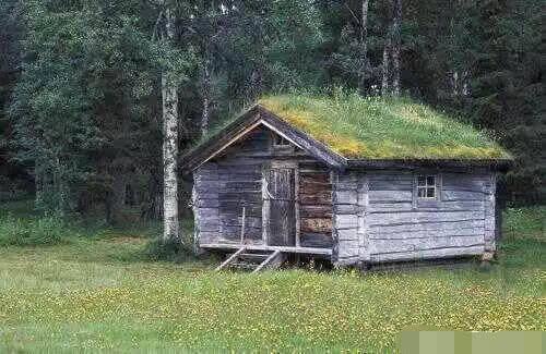 俄罗斯的原始森林里有许多小木屋，去旅游时千万不要随便进，不然