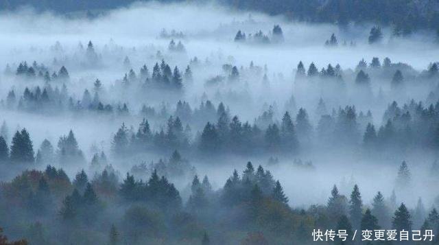 在我国西南山区有条“神秘”之路，荒无人烟，被人类列为“禁区”