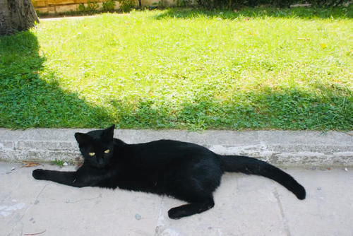  「前途」湖南最“有前途”的城市，有望追赶省会长沙，未来发展