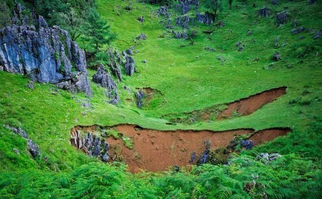 罕见! 被称为“神仙的居所”, 四川发现国内面积最大的绿石林!