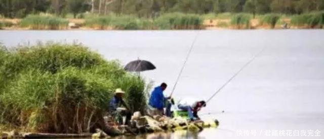 「口诀」春钓记住这些口诀,不想爆护而归都难