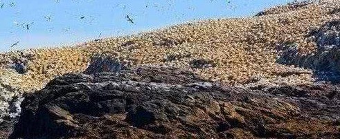 世界上最特别的小岛，明明无人居住，可岛的海拔一年却升高3米！