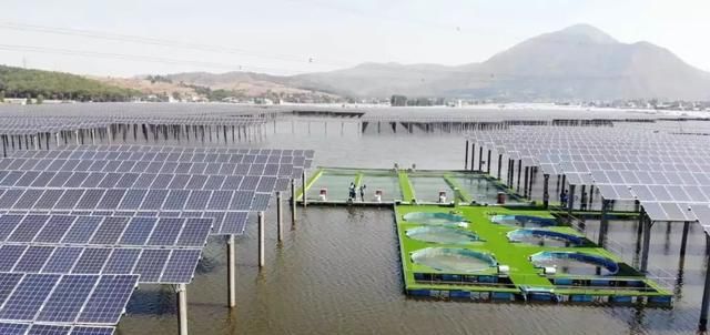  「鱼塘」一天打鱼5万斤！这片光伏鱼塘，养殖量是普通鱼塘的十倍