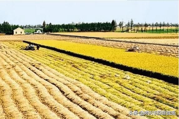 为了子女的未来考虑, 赶紧把这两个证办了, 明年可能就办不了了