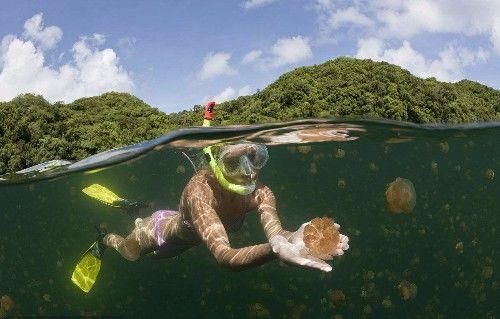 惹恼了中国人民，旅游收入直接减半，网友：免签也不去