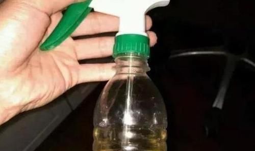  啤酒稀释液：虎皮兰和绿萝最爱“它”，盆里浇1点，枝叶绿油油，爆盆一整年