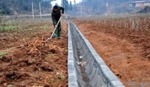  「村村」2020年或将全面实施农村“两改一入户”！几乎村村有，