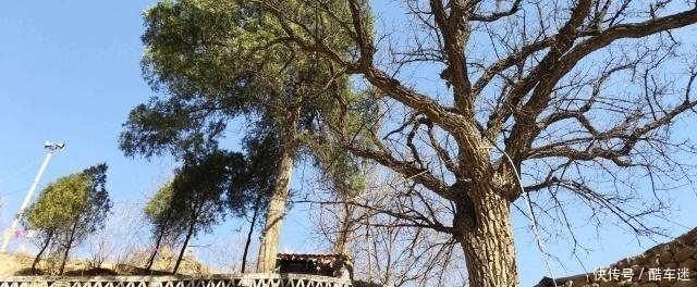 被称为“无人区”的涉县小山村被城里人看中 买下几座院子养老