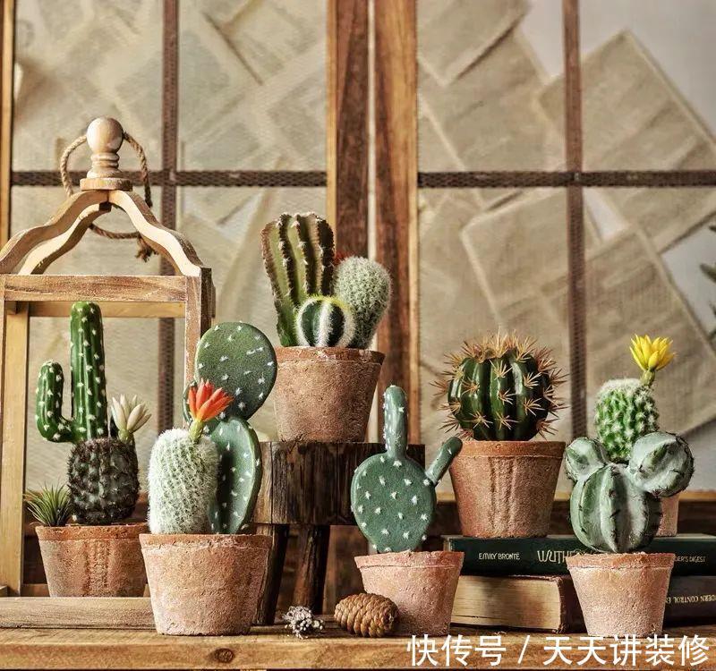  「适合」适合在办公室养的五种绿植，清雅别致，还能清新空气，呵护健康